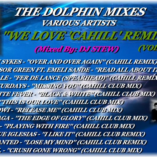 THE DOLPHIN MIXES - VARIOUS ARTISTS - ''WE LOVE 'CAHILL' REMIXES'' (VOLUME 8 )