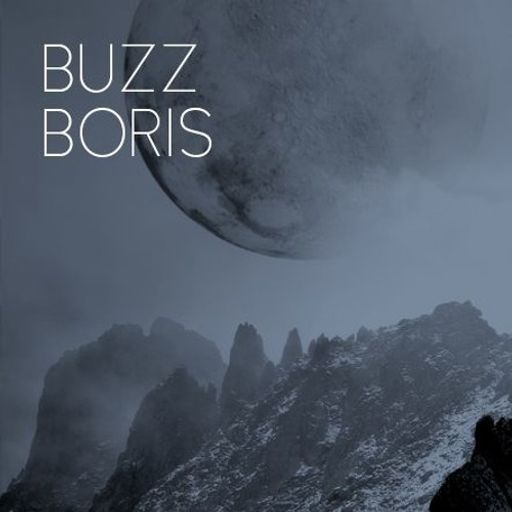 Buzz Boris - Collecting Diamonds And Some Worthless Stones (Sunday Joint)