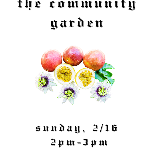 The Community Garden w/ Soul Light Collective (02.16.2025)