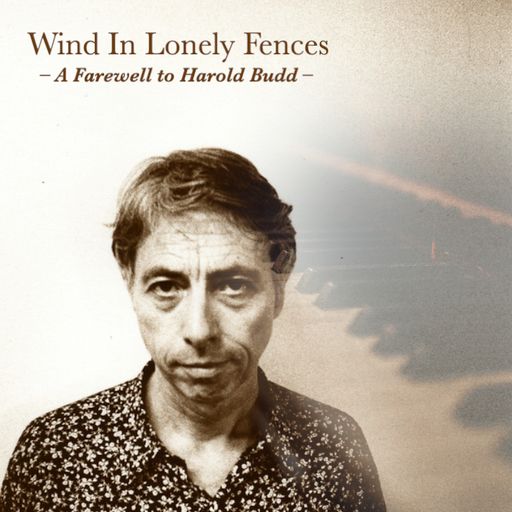 Wind in Lonely Fences - A Farewell to Harold Budd