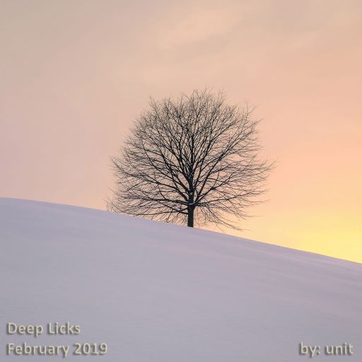 Deep Licks February 2019