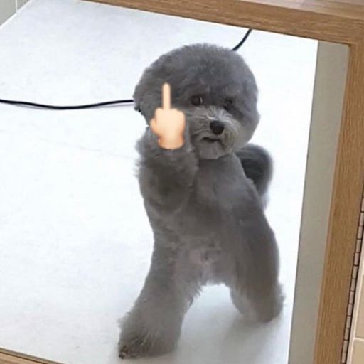 DJ'YE【Yakult Private Mix VVIP】《Bui Ha My - Em Gai Mua X 葉斯潡 - 我曾遇到一束光 X ДЕТИ RAVE - УРЫЛ 0$》Mixtape