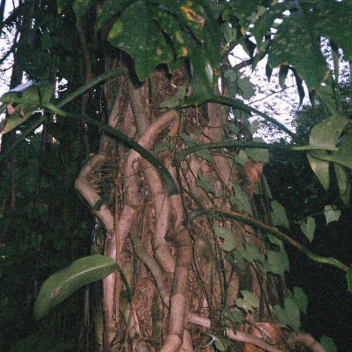 SOPHIA ZHURAVKOVA - 15th June 2025