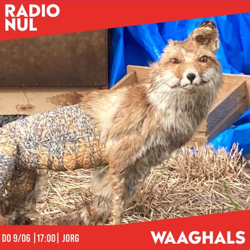 Jorg (Lomechanik) "Wildlife" - Waaghals / 09-06-2022