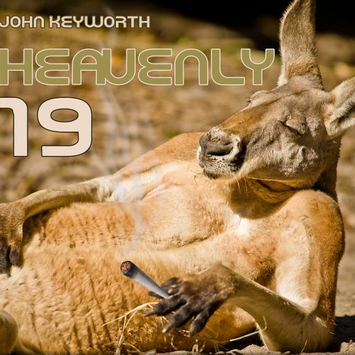 Heavenly Volume 19   (Lounge/Chillout)