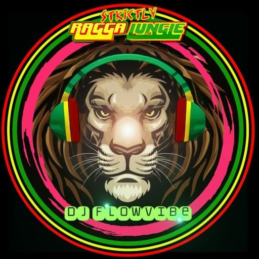 DJ FlowVibe - Strictly Ragga Jungle - Aug 2025