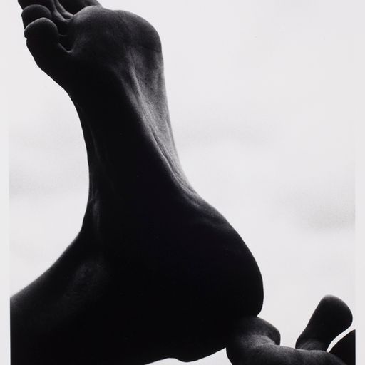 El's Liquor World (09.01.2024)