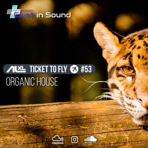 TICKET TO FLY #53 MAY 2023 (Organic House) EXCLUSIVE for EXIST IN SOUND (US)