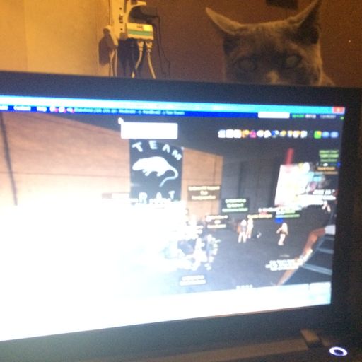 Randomhouse Mix July.2015