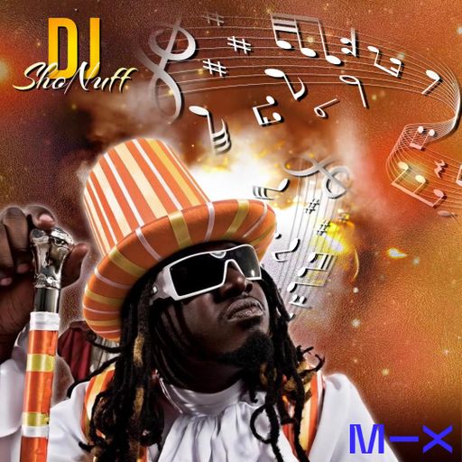 THE T-PAIN MIX 4SHO