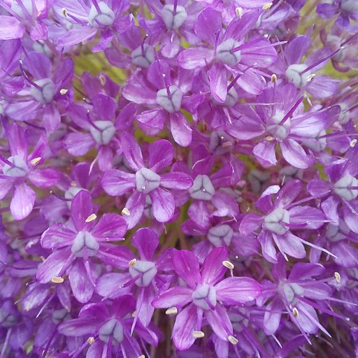 Saturday sessions (22/02/25)