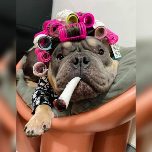 DJ'YE【Paul Private Mix】《Zombivilization X Patience Vs Power X 吳大文 - 安靜的稻草人 X 周杰倫 - 軌跡》Mixtape 2x23