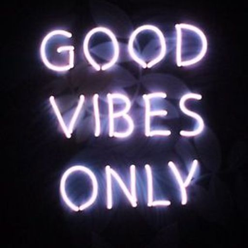 Mr Black - Good Vibrations (live end of summer selection)