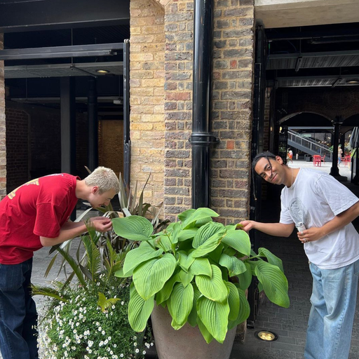 Five Points - 23/05/23