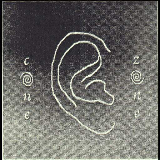 Cat - Cone Zone 017 (12.20.21)