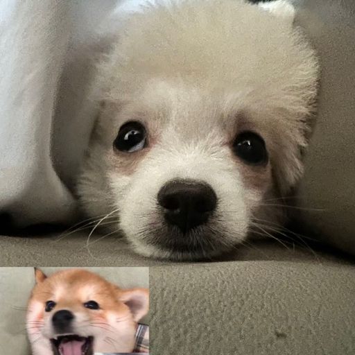 kahpoh V3 【我落泪，情绪零碎 x 裹着心的光 x 天空 x 仗着 x 忽然之间 x 为什么不说话】DJ HoLend Remix