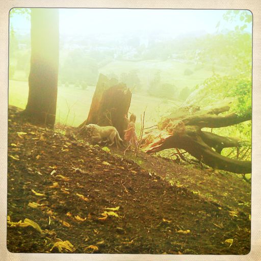 Create 52 - Week 47 - The Field Recording