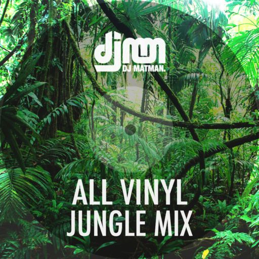 All Vinyl Jungle Mix