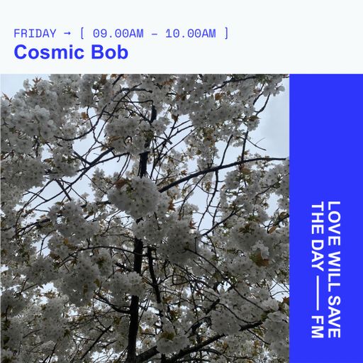 2026-04-03 Cosmic Bob - Cosmic Bob | LWSTD-FM