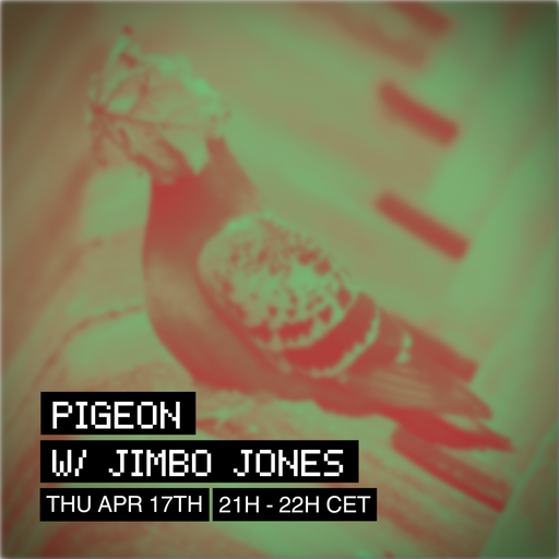 Pigeon w/ Jimbo Jones at WAV | 17-04-25