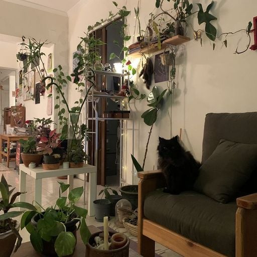 FAK AGZA2 W/ Zizi - 21st March 2026