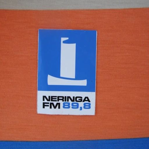 Neringos sekretas vol. 43