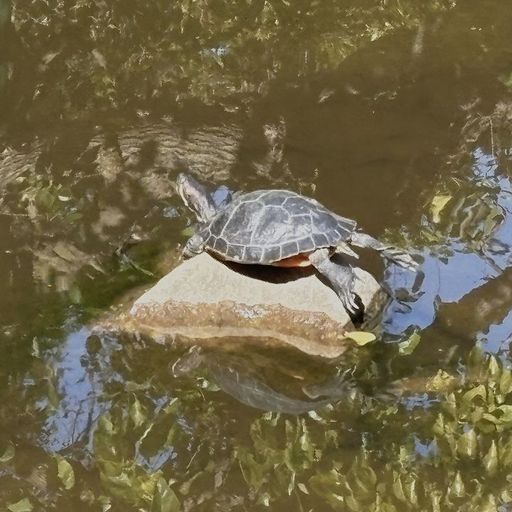 Delivery Presents: Haan - 28th October 2025