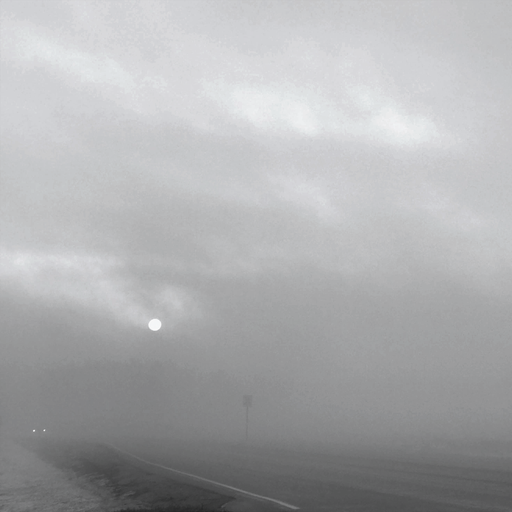 A Foggy Winter's Dub