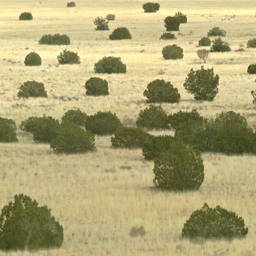 I can see you've had a rough few months (Eclectic Playlist Series 8.02)