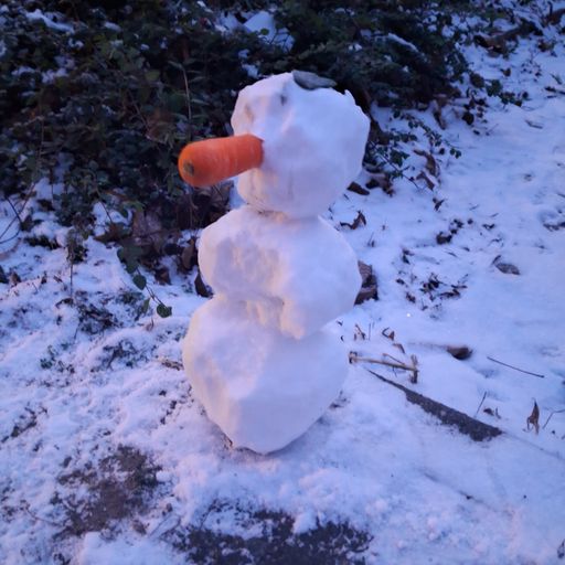 DREADheadz DUB´n´Reggae Nr. 2 (POT) vom 20.1.2026