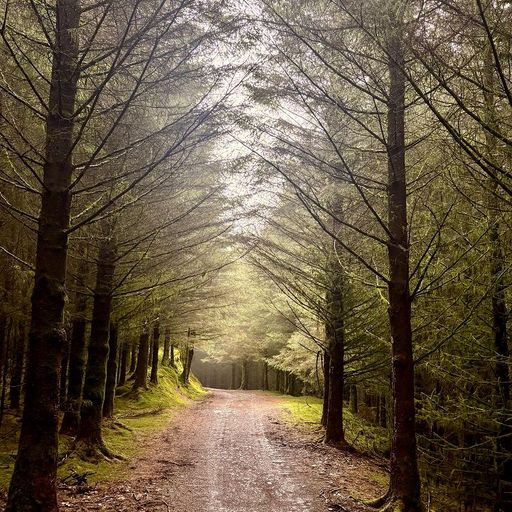 Thea HD - 8th March 2026