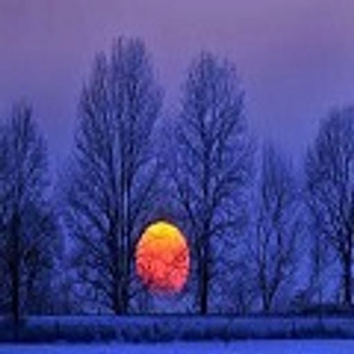 ARIS M.G.T. for Waves Radio #85