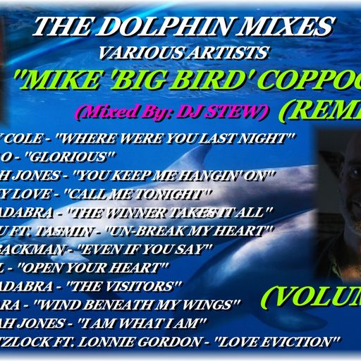 THE DOLPHIN MIXES - VARIOUS ARTISTS - ''MIKE 'BIG BIRD' COPPOCK'' (REMIXES) (VOLUME 2)
