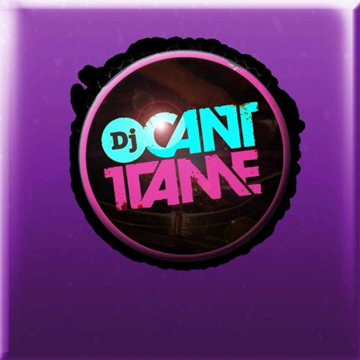DJ Cant Tame - When Hip-Hop Was Hip-Hop: 90s Throwback