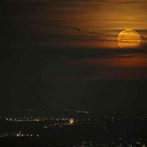 Brownsville Swingers (Chilled&Wired)