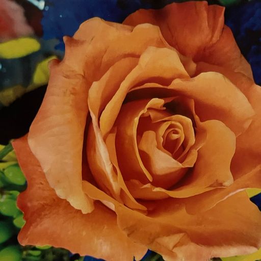 Volatile states vol 9