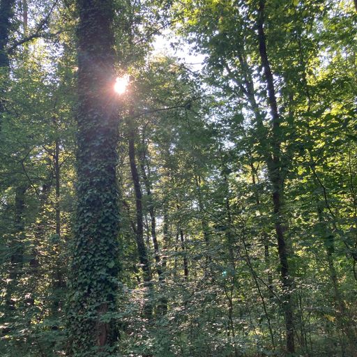 Underground Vibes Juli 2023