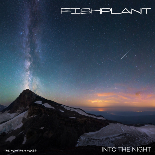 2017 11 - Into the Night