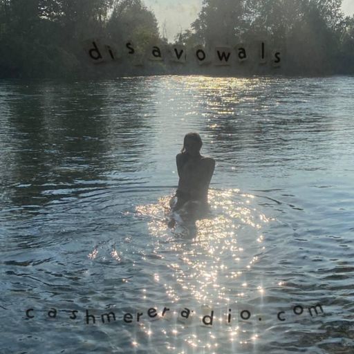 Disavowals #7 w/ JOA 22.08.2024