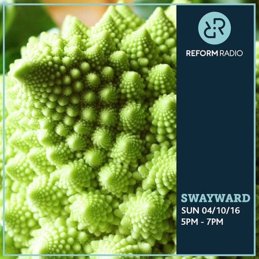 Swayward 4th December 2016