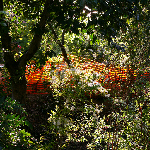 The Early Bird Show w/ PAM - 16th April 2026