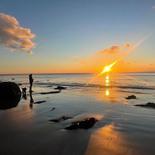 Thea HD - 8th February 2026