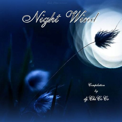 "" NIGHT WIND "" Chill & Lounge Compilation.