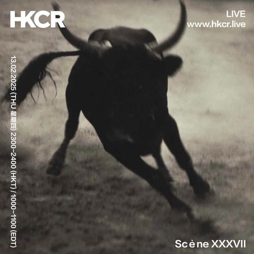 Scène XXXVII - 13/02/2025