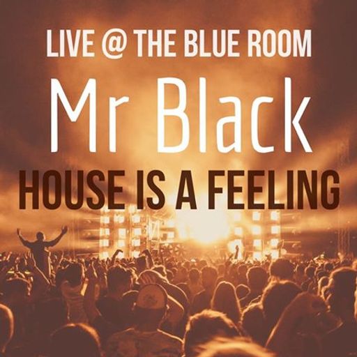 Mr Black - House is a Feeling (Live @ the Blue Room june 2017)