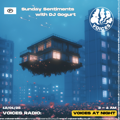 DJ Gogurt - 12/01/25 - Voices Radio
