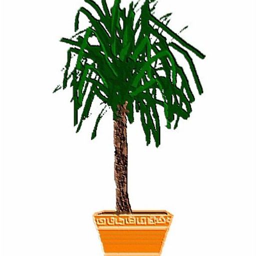 Woj - Yucca