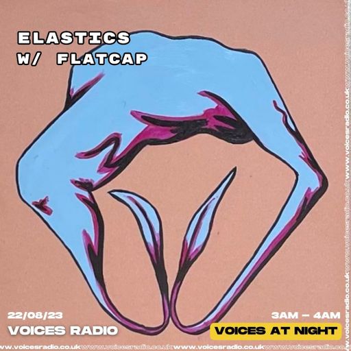 Elastics - 22/08/23 - Voices Radio