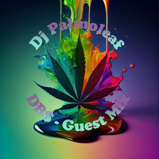 Dj Palmoleaf - DBS Guestmix #1 - 29. Mar 2026