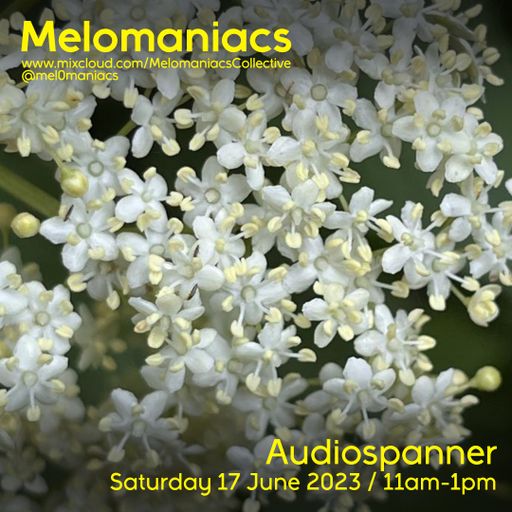 Audiospanner's All over the place // 17.June.2023 // Melomaniacs